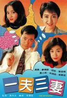 美剧《一夫三妻》第一季在线播