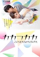 《别扭合租房可不可以合租》日剧免费全高清
