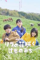 《丁香花》高清完整版播放免费流畅播放中字国语
