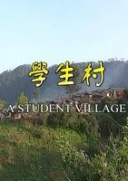 意大利《顽劣医学生》电影免费4K