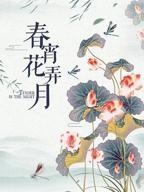 台湾电影《春宵花弄月》免费多线路播放特别版